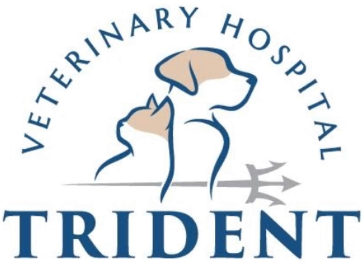 Trident Veterinary Hospital